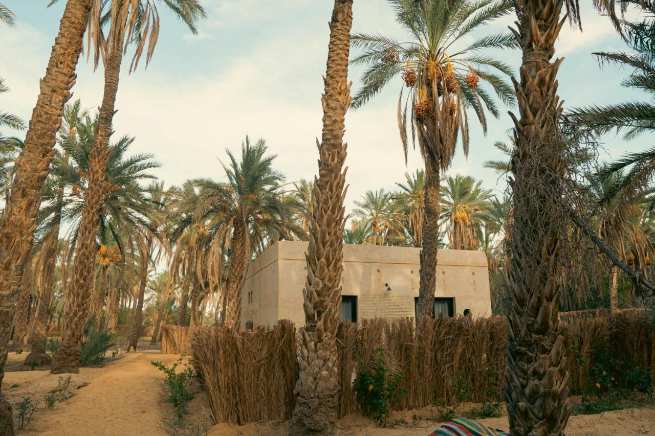 Villa Taouzert Gobernación de Gobernación de Tozeur Exterior foto